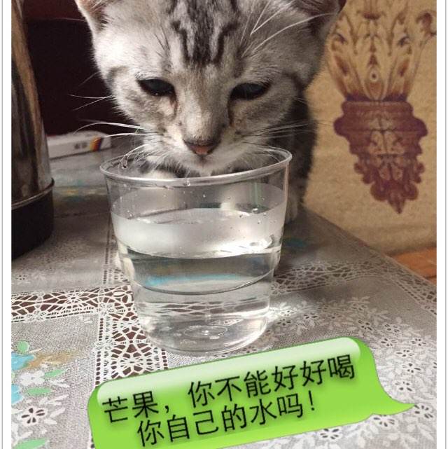 办理日本大分大学文凭毕业证